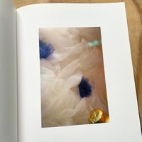 Image 8 of William Eggleston - Paris