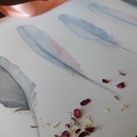Image 2 of Galah Feathers 