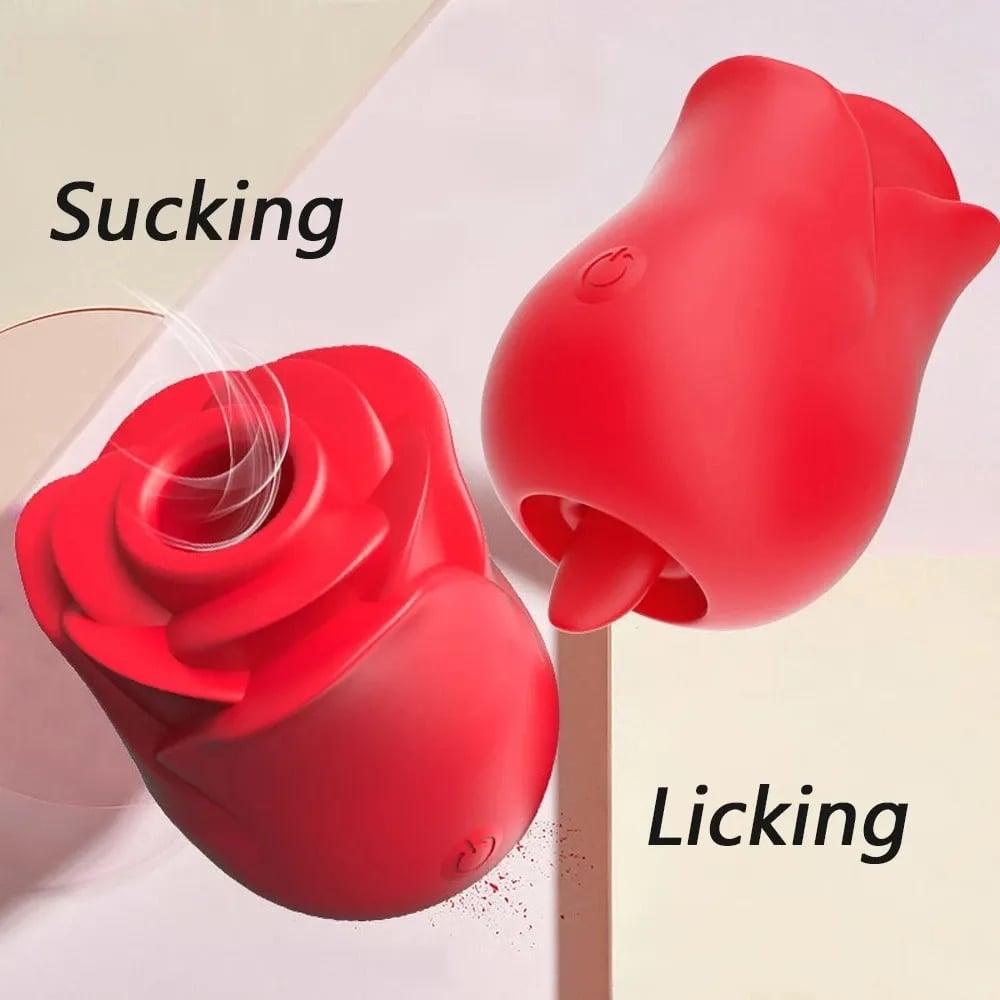 Image of Pleasure Rose