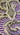 COILED SNAKE (ORIGINAL PAINTING)