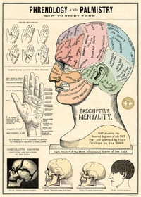 Cavallini & Co. Phrenology & Palmistry Poster, Archival Paper, Matte