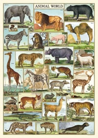 Cavallini & Co. Animal World Poster, Archival Paper, Matte