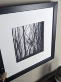 A Sparrow Waits - Framed Papercut 