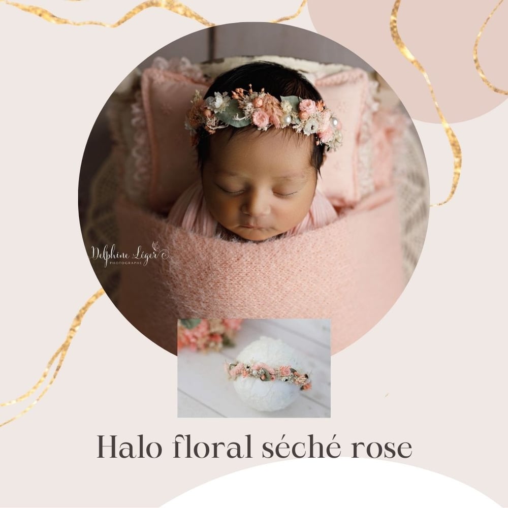 Image of halo fleur séchée rosy