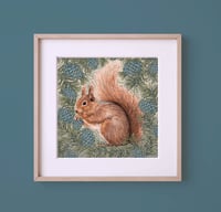Image 1 of HAND DRAWN RED SQUIRREL SIGNED ART PRINT