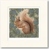Image 2 of HAND DRAWN RED SQUIRREL SIGNED ART PRINT