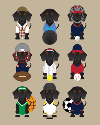 Image 2 of Dachshund Multi Sports Collection