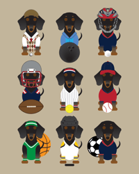 Image 1 of Dachshund Multi Sports Collection