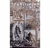 Agathocles – Distrust And Abuse / Agarchy Cassette
