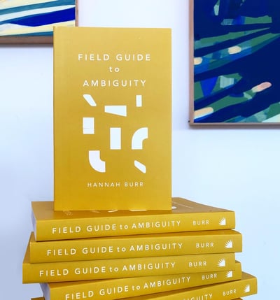 Image of Field Guide to Ambiguity  