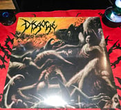 Image of  Disgorge - Parallels Of Infinite Torture - Vinyl