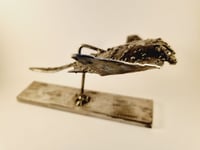 Image 3 of Raie Manta N2, 2023