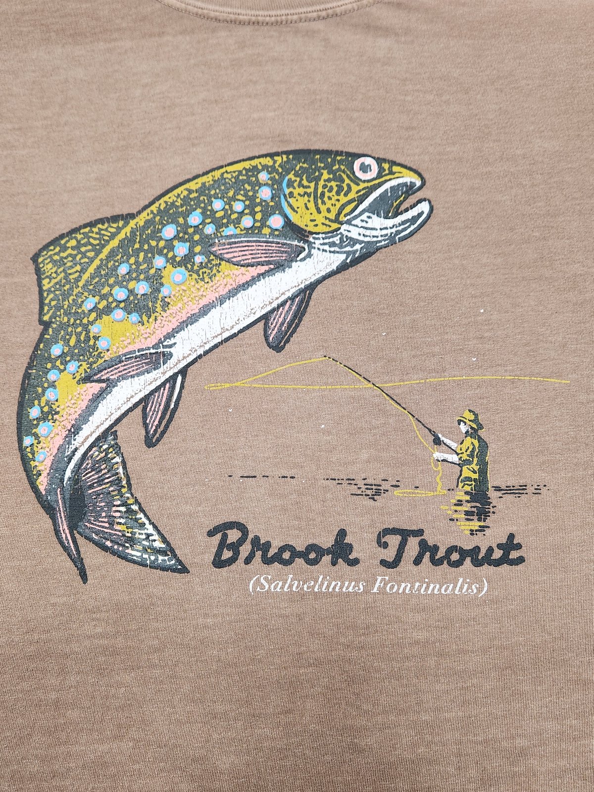Image of Brook Trout