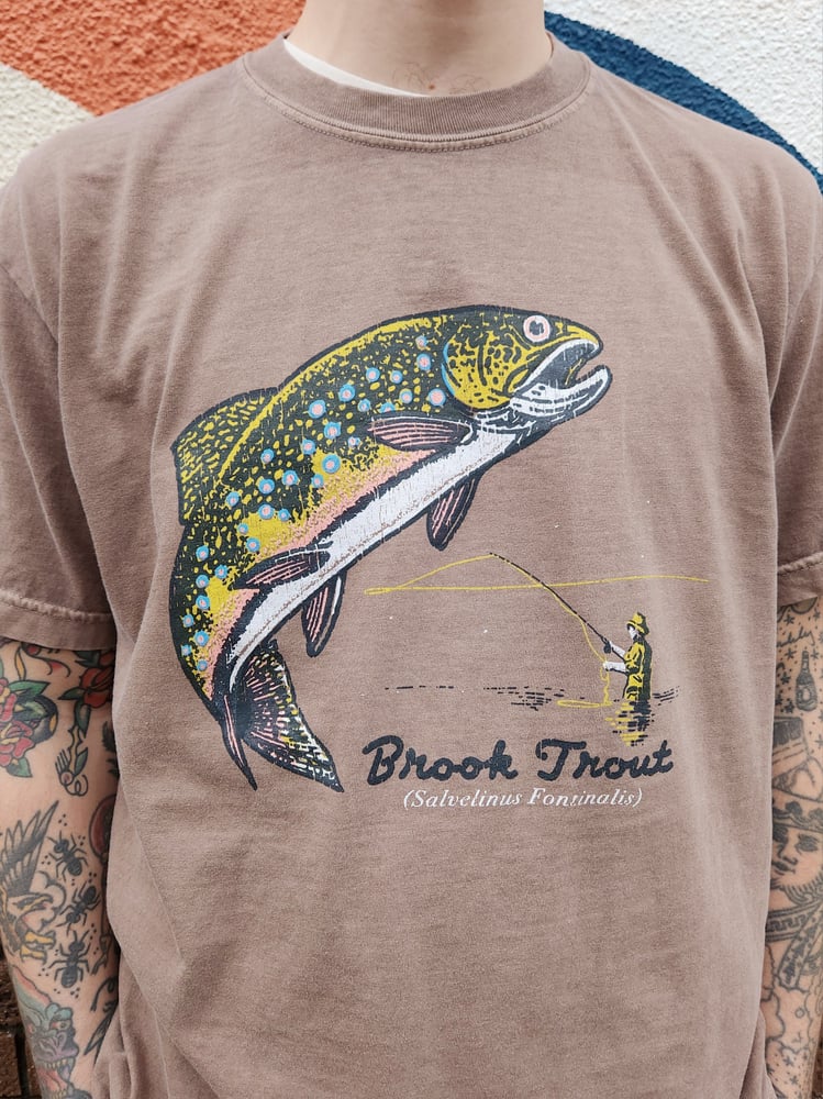 Image of Brook Trout