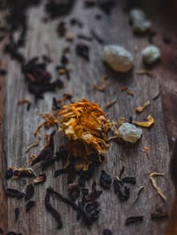 Image 3 of Nourishing Oil Cleanser