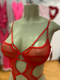 Image 2 of Red Net teddy