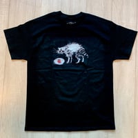 Image 2 of RACCOON