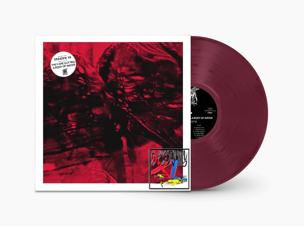 Image of DESTINY XL LIMITED FRUIT PUNCH COLORWAY