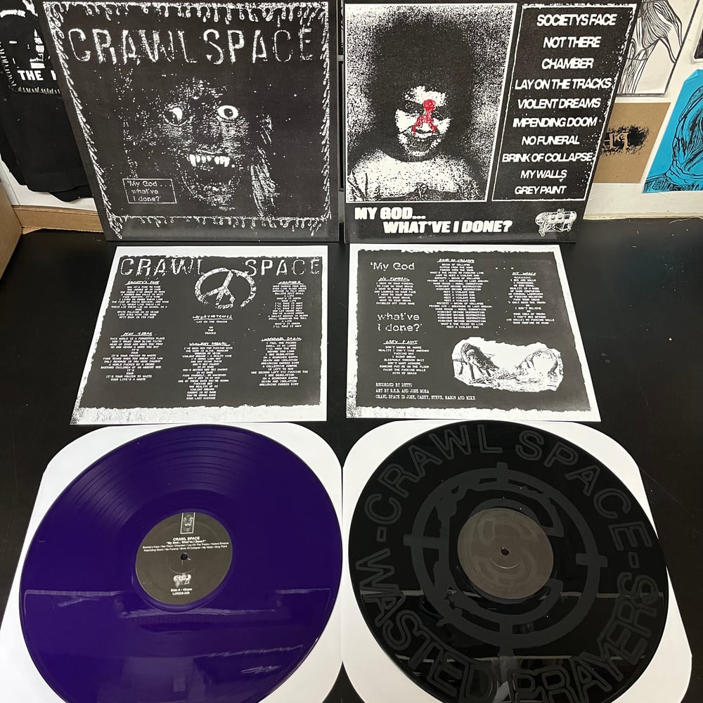CRAWL SPACE - My God... What've I Done? etched MLP