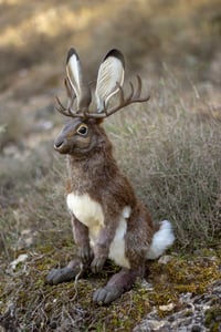 Image 1 of PREORDER - Jackalope Poseable Art Doll