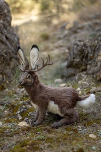 Image 4 of PREORDER - Jackalope Poseable Art Doll