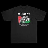 Turtle Island to Palestine Solidarity tee