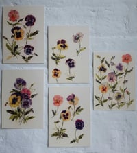 Image 1 of Set of postcards ~ Pansies