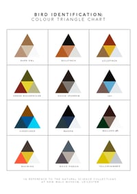 Image 2 of Bird Identification: Colour Triangle Chart 