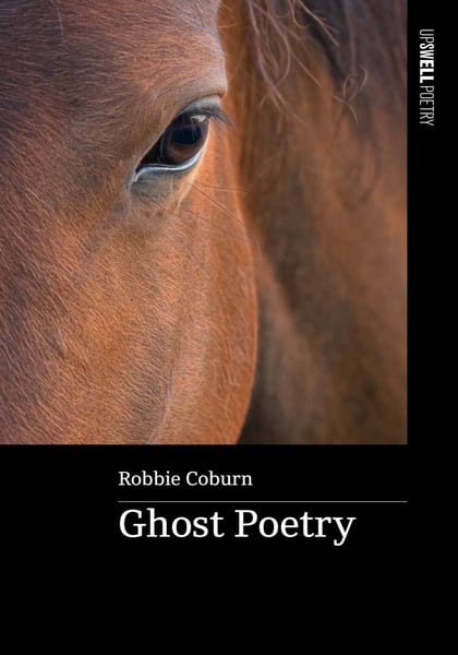 Image of Ghost Poetry