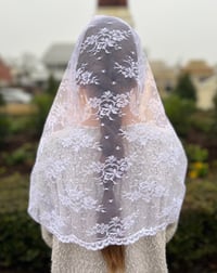 Image 2 of Our Lady of La Salette Infinity Veil