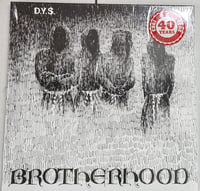 Image 1 of D.Y.S. - "Brotherhood" 12" EP (Single Sided / Red Vinyl) 