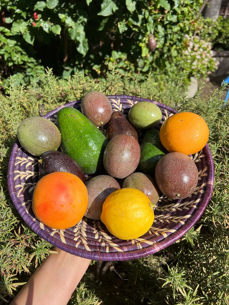 Seasonal Variety Box