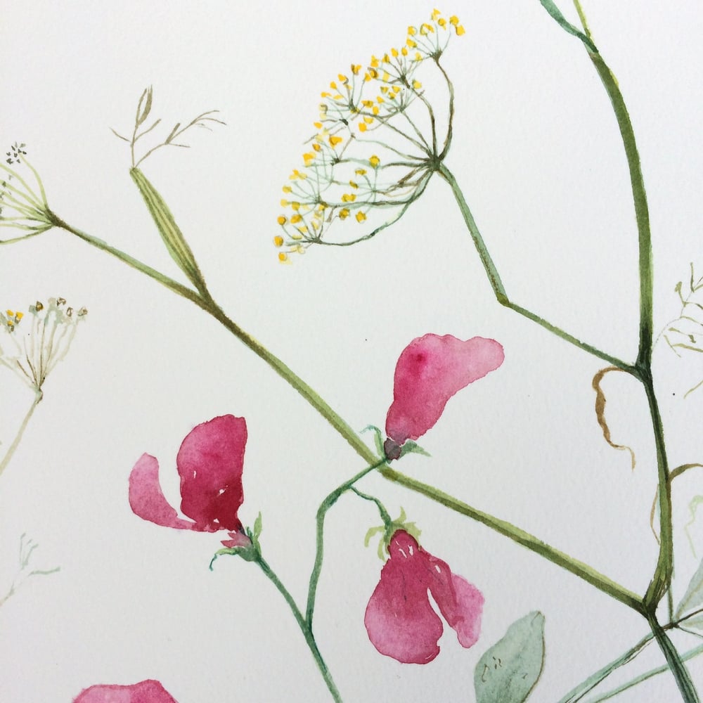 Image of Cerise Sweet Pea and Fennel 