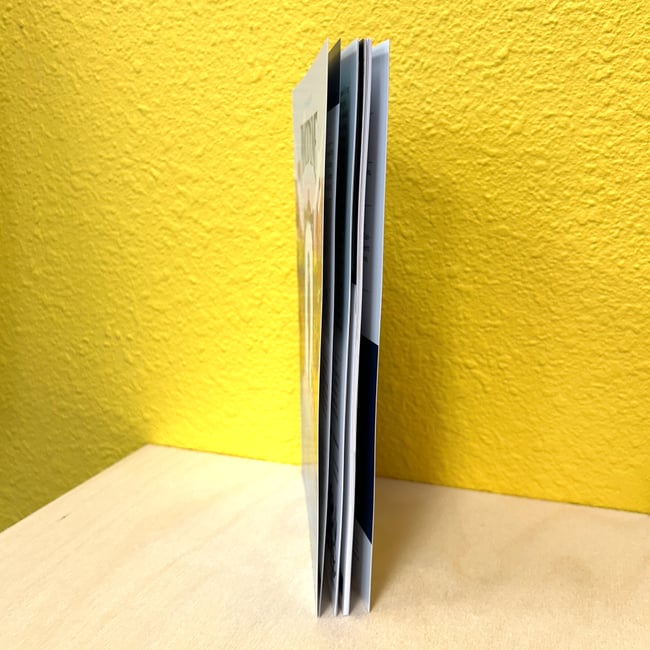 10 Years of Anodyne: A Fan Book