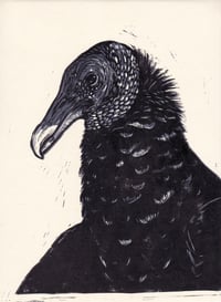 Black Vulture Linocut Print 9"x 12"