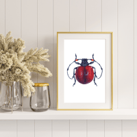 Image 3 of Cyclopeplus peruvianus Watercolor Illustration PRINT 