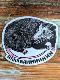 Image 1 of Oppossum Magnet