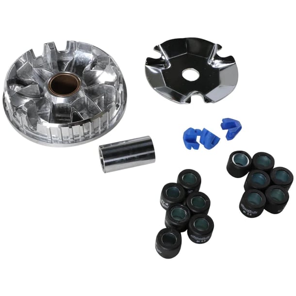 Polini Performance Variator Kit for Honda Ruckus
