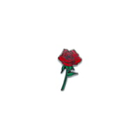 Image 1 of The Rose pin