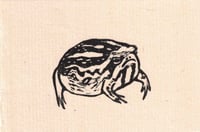 Image 1 of Desert Rain Frog Linocut