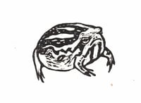 Image 3 of Desert Rain Frog Linocut