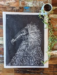 Image 3 of Egyptian Vulture Linocut print 9" x 12" 