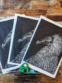 Image 4 of Egyptian Vulture Linocut print 9" x 12" 