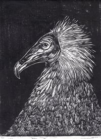 Image 1 of Egyptian Vulture Linocut print 9" x 12" 