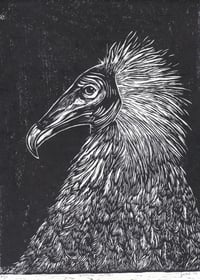 Image 2 of Egyptian Vulture Linocut print 9" x 12" 