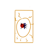 Image 2 of The TAROT SET OF 3