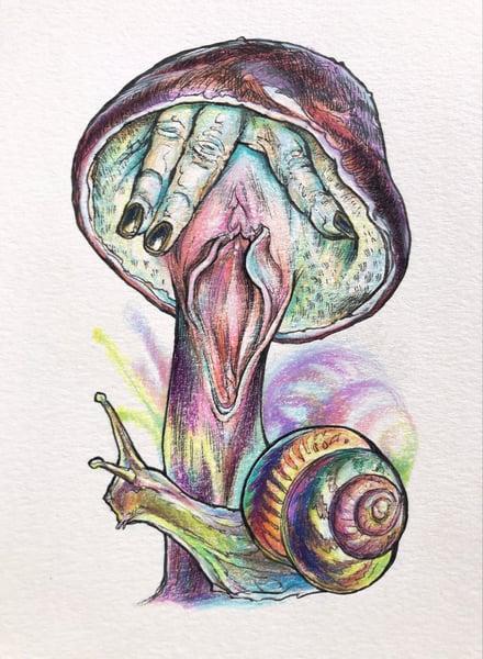 Image of Original - Snail Study