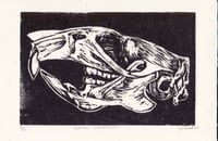 Image 2 of Rattus Norvegicus - Brown Rat Skull Print 