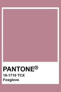 Muted Mauve Sheer Selene PRE-ORDER Image 4