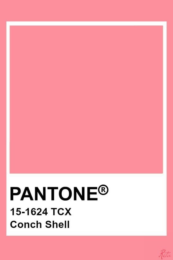 Coral Sheer Selene Dressing Gown PPRE-ORDER Image 4